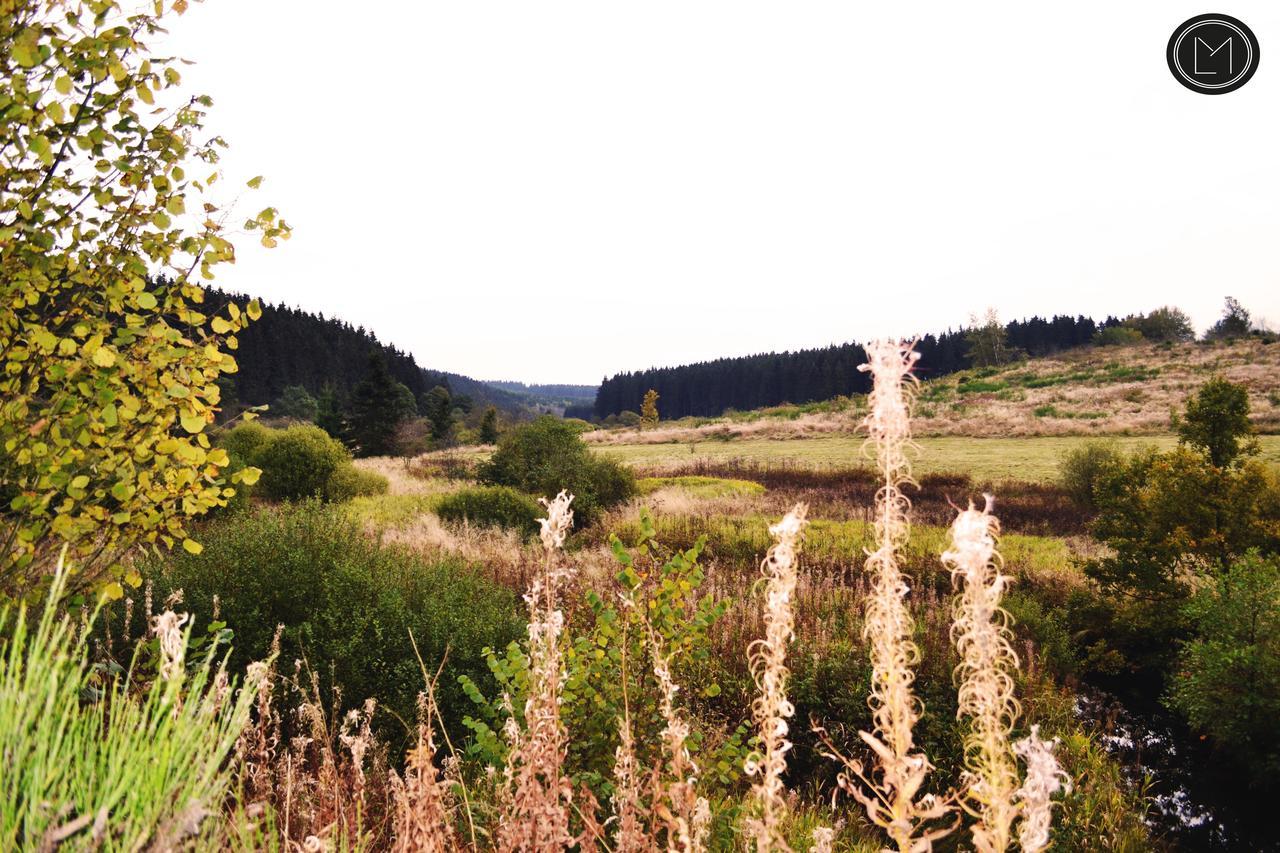 בולאנז' Chalet Le Forestier מראה חיצוני תמונה