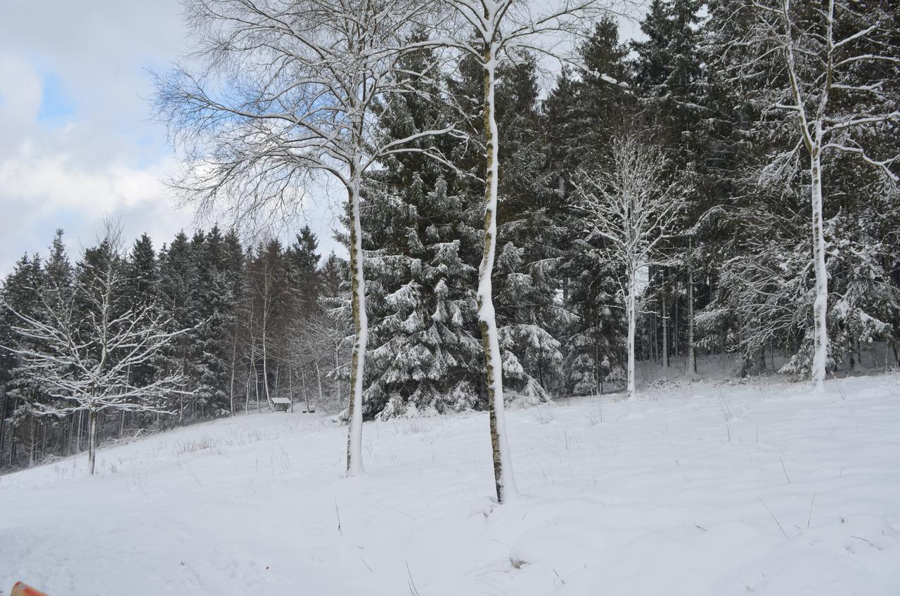 בולאנז' Chalet Le Forestier מראה חיצוני תמונה