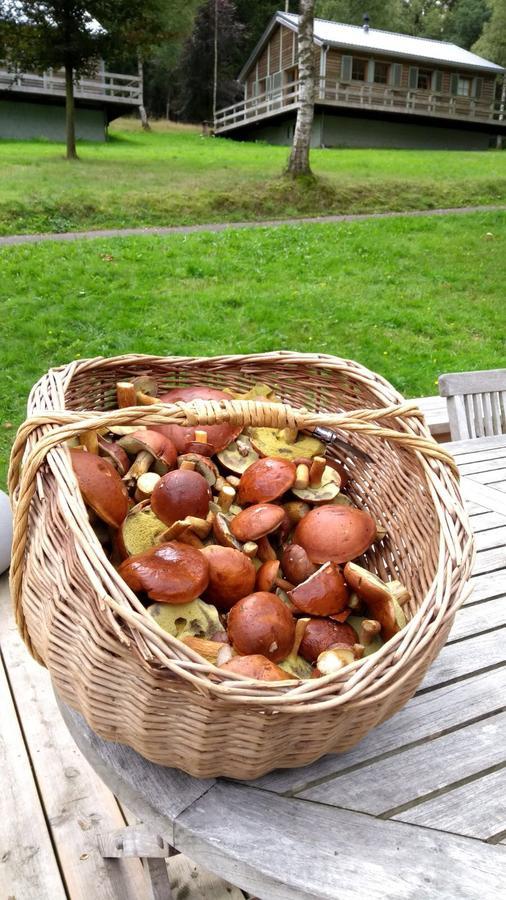 בולאנז' Chalet Le Forestier מראה חיצוני תמונה